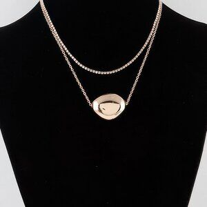 Double Shiny Plate Necklace